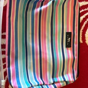 Scout Multicolor Striped Pouch